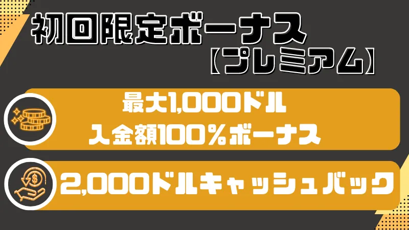 ゴーホグカジノ(Gohog)の初回入金ボーナス【プレミアム】について説明している画像