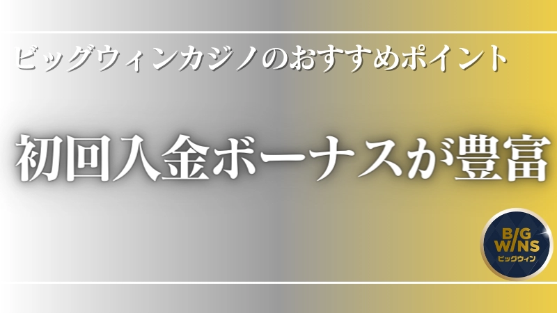 オンラインカジノ ビッグウィンカジノ おすすめポイント