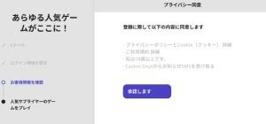 カジノデイズ登録方法 負プライバシー同意