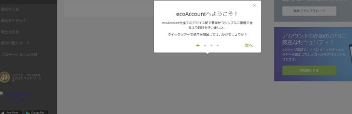 ecoPayz 登録完了