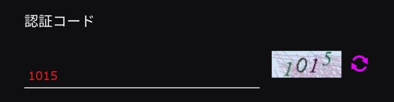 ワンダーカジノ_登録_認証コード