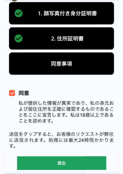 カジノレオ_KYC_最終確認