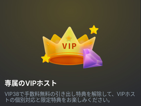 BCゲーム_VIPホスト