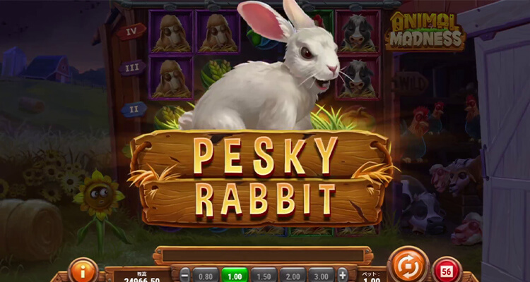 Pesky Rabbit