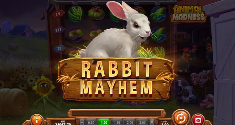 Rabbit Mayhem