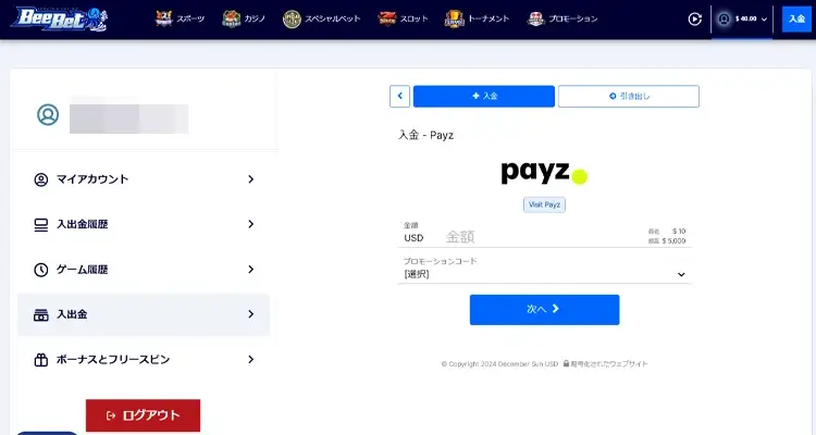 Payz（旧：ecoPayz）決済