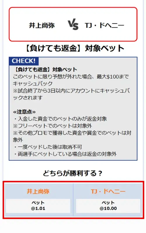 ビーベットの賭け方