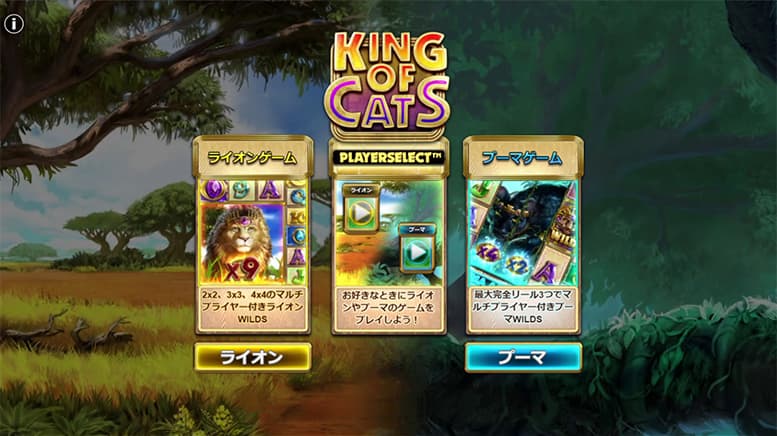 King of Cats