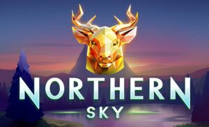 Northern Sky