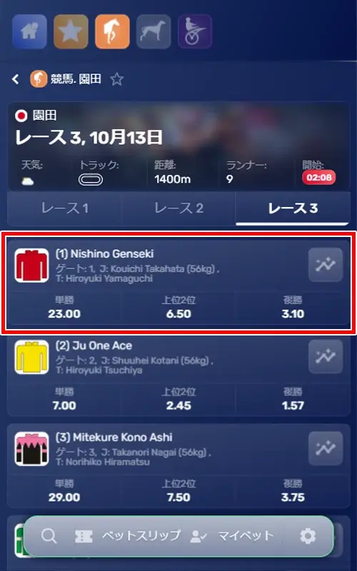 カジ旅の競馬への賭け方