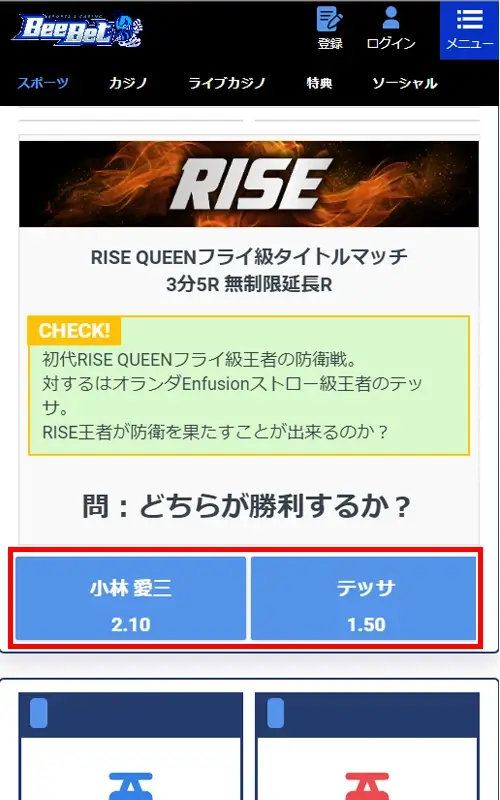 RISE 賭け方