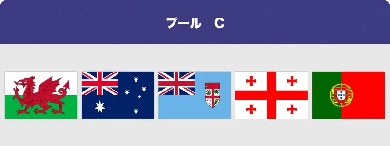 ラグビーW杯 プール C