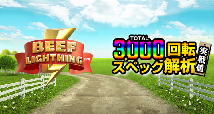 Beef Lightning 3,000検証