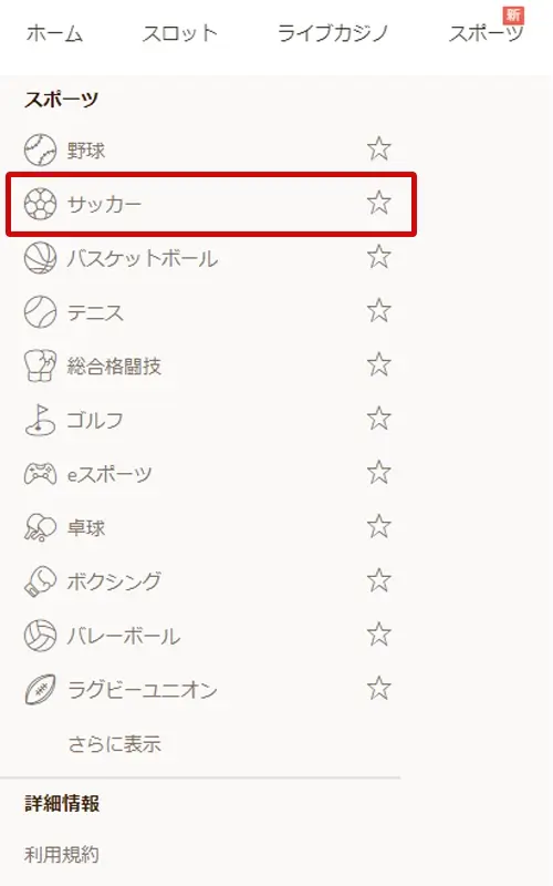 遊雅堂サッカーへの賭け方