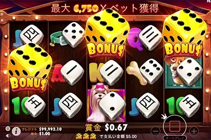 The Dog House Dice Showの見どころ