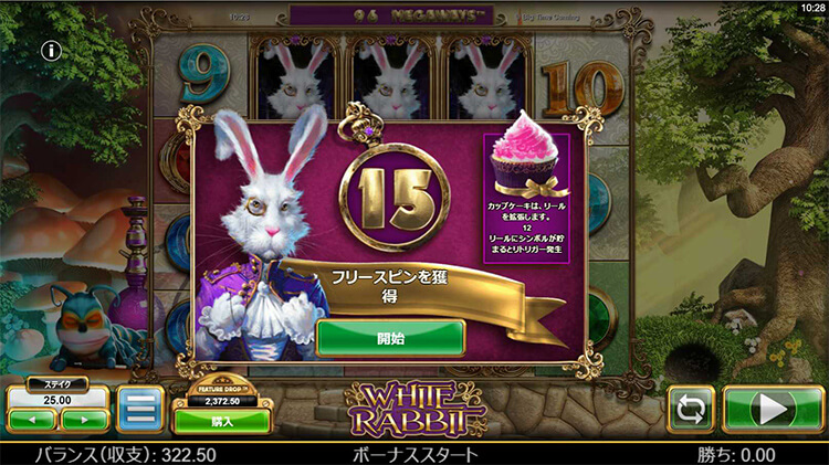 White Rabbit フリースピンをゲット