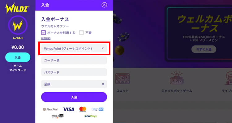 ワイルズカジノ入金方法