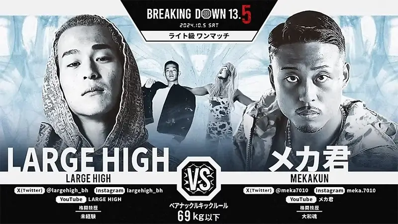 LARGE HIGH VS メカ君