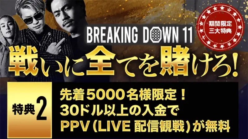 $30以上の入金でのPPV（LIVE配信観戦）チケットがもらえる