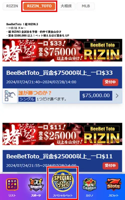 BeeBet Toto（ビーベット・トト）の賭け方