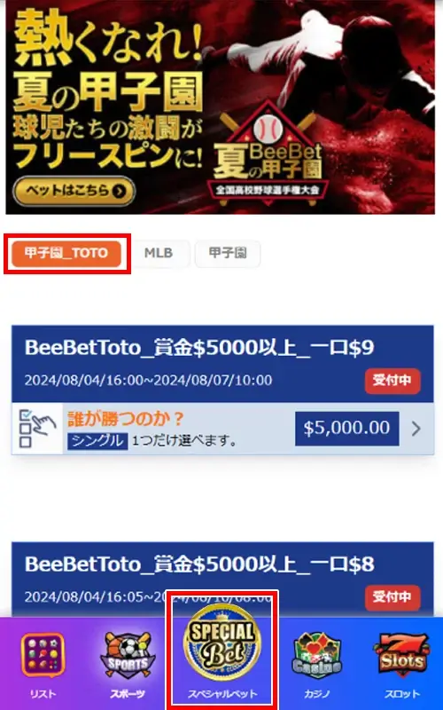 BeeBet Toto（ビーベット・トト）の賭け方