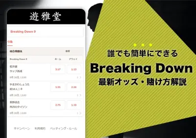 遊雅堂でブレイキングダウン13.5に賭ける | 最新オッズやボーナス情報