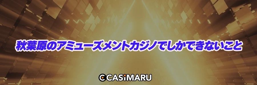 秋葉原のアミューズメントカジノでしかできないことのバナー