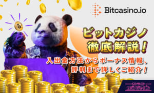 ビットカジノ徹底解説入出金方法からボーナス情報、評判まで詳しく紹介！