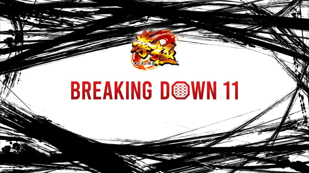 BREAKING DOWN11