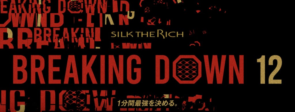 SILK THE RICH BREAKING DOWN 12