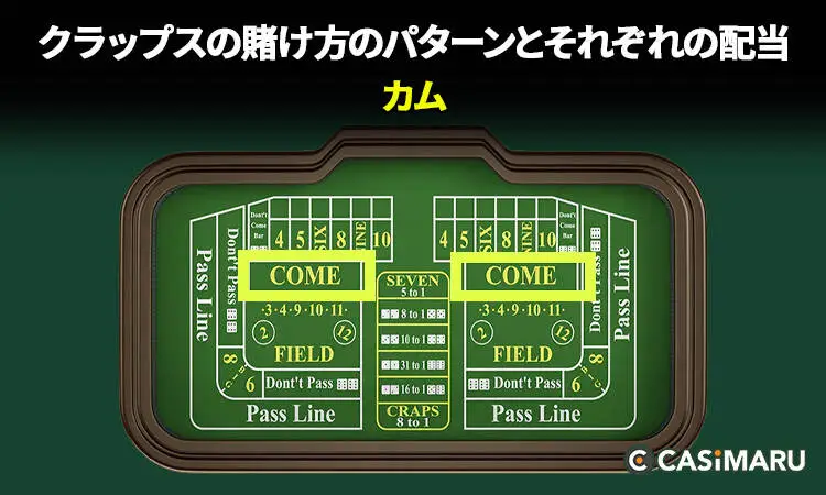 賭け方のパターンとそれぞれの配当 (カム)