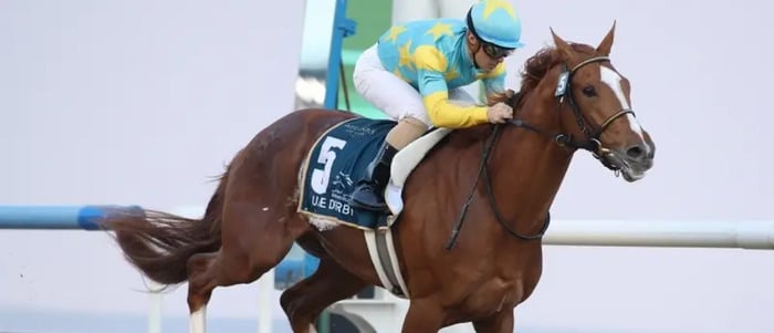 ドバイワールドカップ2024の注目の日本馬 (デルマソトガケ)