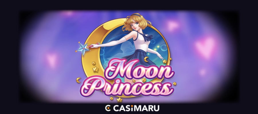 moon-princess-banner