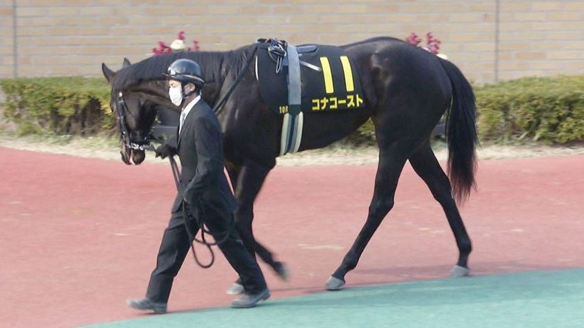 オークス2023の有力馬（コナコースト）