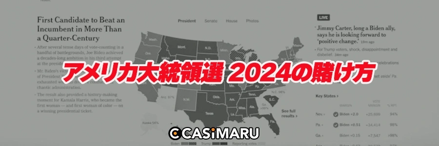 アメリカ大統領選 2024の賭け方のバナー