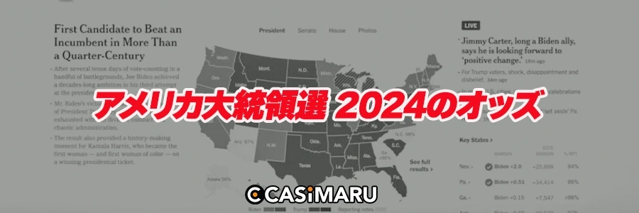 アメリカ大統領選 2024のオッズのバナー