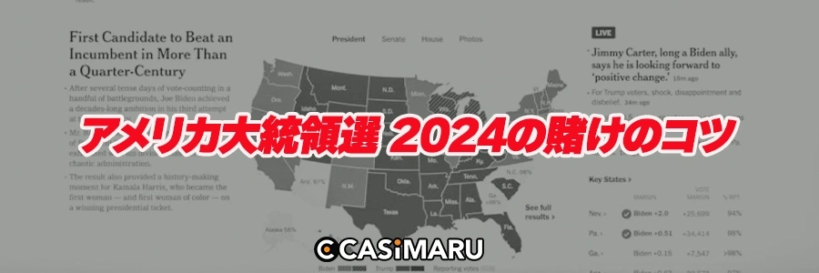 アメリカ大統領選 2024の賭けのコツのバナー