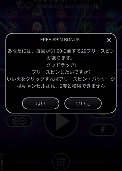 FREE SPIN BONUS