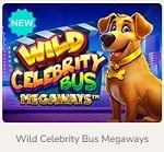 Wild Celebrity Bus Megaways