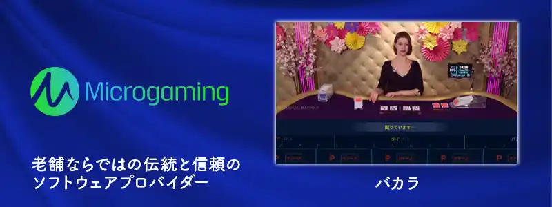 Microgaming（マイクロ・ゲーミング）