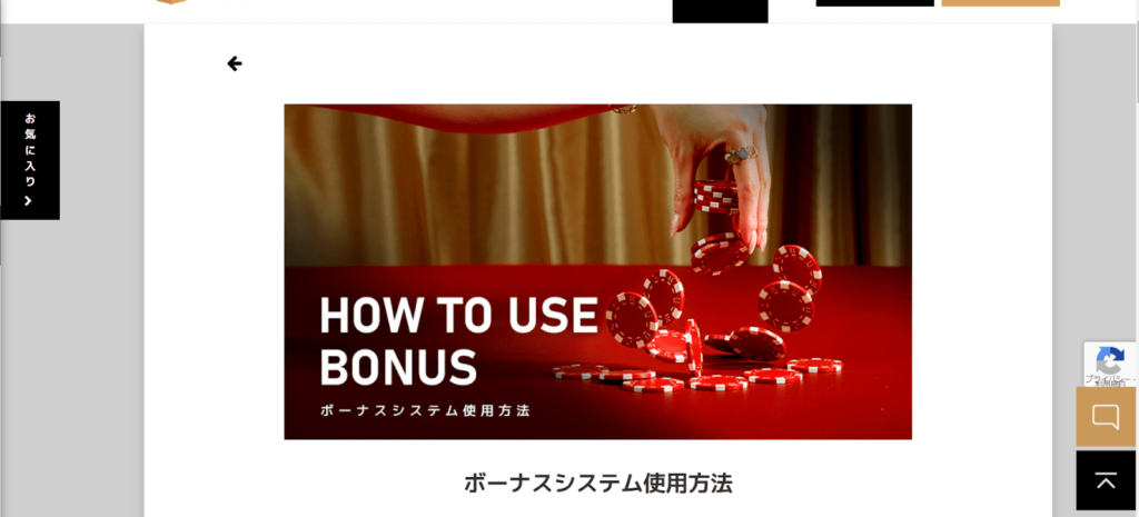 HOW TO USE BONUS