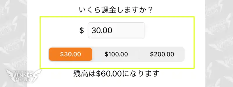 入金額を入力する