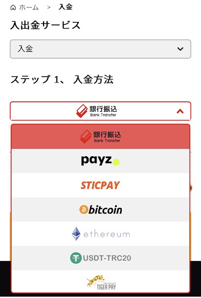 7スピンカジノ入金方法２