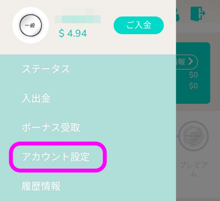 ユースカジノ　アカウント設定画面